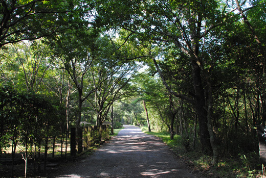 貸別荘「どんぐり」